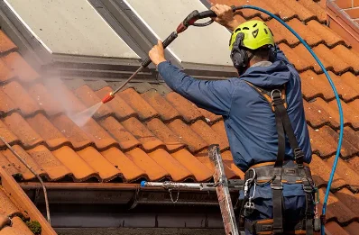 Démoussage et hydrofuge de toiture à Caille